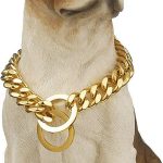 45cm Stainless Steel Dog Collar Gold Chain Luxury Designer Durable Training