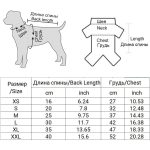 Autumn Winter Fashion Dog Hoodies With Pocket Small Dog Winter Clothes Puppy - Image 6