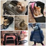 Dog Carrier Bag Portable Dog Backpack With Mesh Window Airline Approved Small Pet Transport - Image 6