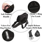 Dog Harness German Shepherd Pet Dog Collar Harness Service - Image 4