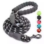 Nylon Training Dog Leash Webbing Recall Long Lead Line Pet Traction Rope Great for Teaching Camping Backyard