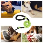 Nylon Training Dog Leash Webbing Recall Long Lead Line Pet Traction Rope Great for Teaching Camping Backyard - Image 5