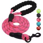 Nylon Training Dog Leash Webbing Recall Long Lead Line Pet Traction Rope Great for Teaching Camping Backyard - Image 6