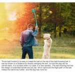 Retract Pet Tossing Cue And Dog Training Toy Ball Tossing Device Outdoor Tennis Training Toy - Image 3