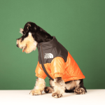 Winter Pet Dog Down Jacket Clothes Embroidered Coat of Medium and Small Dog Tide Clothing - Image 2