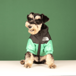 Winter Pet Dog Down Jacket Clothes Embroidered Coat of Medium and Small Dog Tide Clothing - Image 3