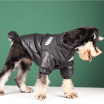 Winter Pet Dog Down Jacket Clothes Embroidered Coat of Medium and Small Dog Tide Clothing - Image 4