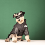 Winter Pet Dog Down Jacket Clothes Embroidered Coat of Medium and Small Dog Tide Clothing - Image 5