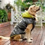 For Large Dog Winter Clothes Pet Clothes Big Apparel Coat High Quality  Jacket Cotton