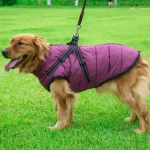 Large dog jacket with harness, warm and soft winter waterproof