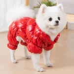 Waterproof and warm hoodie for pet, perfect for winter.