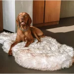 Fluffy orthopedic dog bed made of faux fur and luxury memory foam